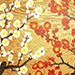 Hideaki Kato Gallery